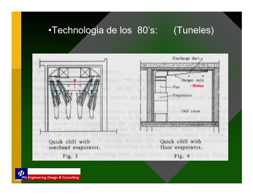 ENFRIAMIENTO de CARCASAS de CERDO