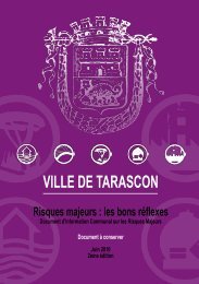 VILLE DE TARASCON Risques majeurs