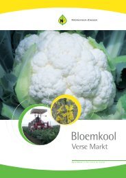 Bloemkool - Brochure Benelux 2011 - Nickerson-Zwaan