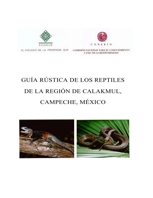 Q049Guia reptiles