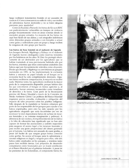 Descargar (pdf) - iwgia