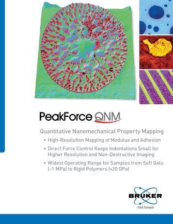 PeakForce QNM - Bruker