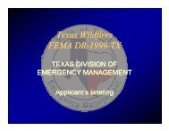 Texas Wildfires FEMA DR-1999-TX - Texas Department of Public ...