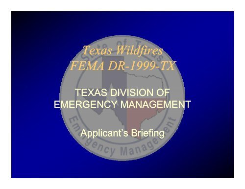 Texas Wildfires FEMA DR-1999-TX - Texas Department of Public ...