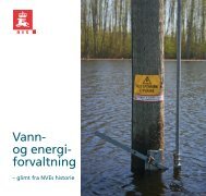 Vann- og energiforvaltningâ glimt fra NVEs historie