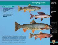 Fishing Regulations - Yellowstone Up Close and Personal