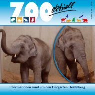 Zoo aktuell 1 / 2011 - Tiergartenfreunde Heidelberg eV