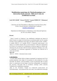 ModÃ©lisation numÃ©rique de l'hydrodynamique avec ... - Paralia.fr