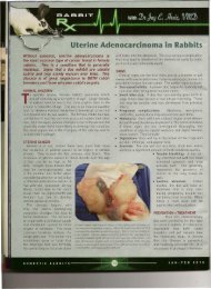 Uterine Adenocarcinoma in Rabbits - Michigan State 4-H