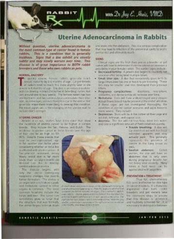 Uterine Adenocarcinoma in Rabbits - Michigan State 4-H