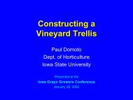Constructing a Vineyard Trellis - Viticulture Iowa State University