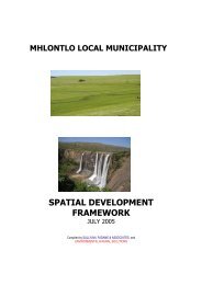 Mhlontlo SDF 2005.pdf - Provincial Spatial Development plan