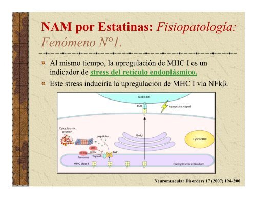 Miositis Necrotizante Autoinmune por Estatinas (NAM)