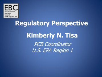 Regulatory Perspective Kimberly N. Tisa