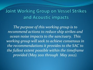 Joint Working Group on Vessel Strikes and Acoustic Impacts Update