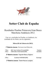 Resultados G.B - Setter Club de España