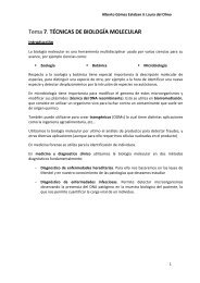 Tema 7. TECNICAS BASICAS DE BM.pdf - VeoApuntes.com