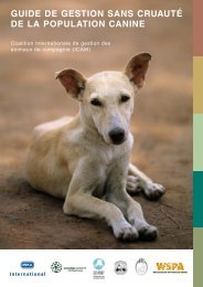 guide de gestion sans cruautÃ© de la population canine - ICAM ...