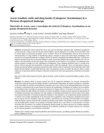 Acacia woodlots, cattle and dung beetles (Coleoptera: Scarabaeinae)