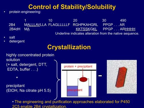 Twenty-five years of Research on Cytochromes P450 2B: To ...