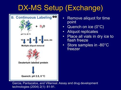 Twenty-five years of Research on Cytochromes P450 2B: To ...