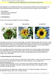 Frank Korting - EinflÃ¼sse auf die Haltbarkeit von Schnittsonnenblumen