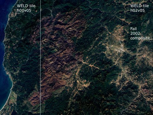 Global Burned Area Detection: MODIS and beyond - IGAC Project