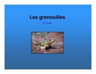 Les grenouilles - Science en ligne