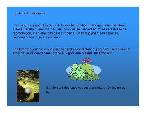 Les grenouilles - Science en ligne