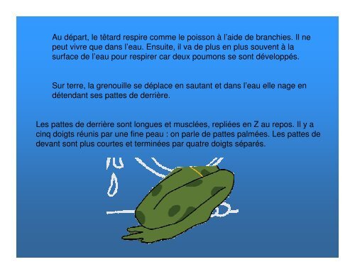 Les grenouilles - Science en ligne