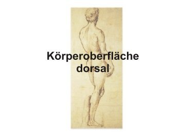 Körperoberfläche dorsal