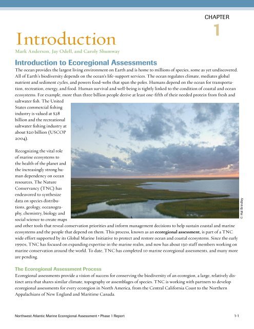 Full report - Conservation Gateway