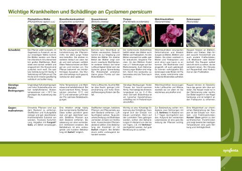 Wichtige Krankheiten und Schädlinge an Cyclamen ... - Syngenta