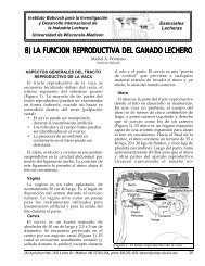 8) la funcion reproductiva del ganado lechero - Babcock Institute