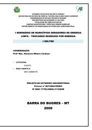 BARRA DO BUGRES â MT 2009 - UNEMAT