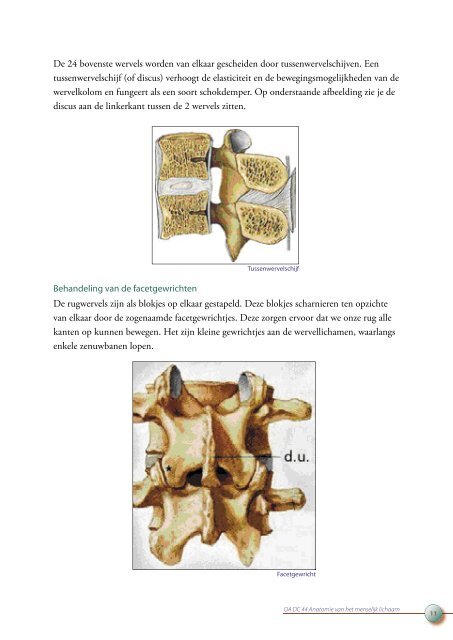 OA DC 44 Anatomie van het menselijk lichaam - Profi-leren