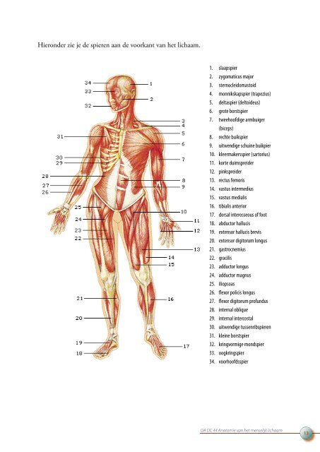 OA DC 44 Anatomie van het menselijk lichaam - Profi-leren