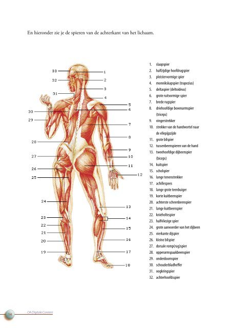 OA DC 44 Anatomie van het menselijk lichaam - Profi-leren