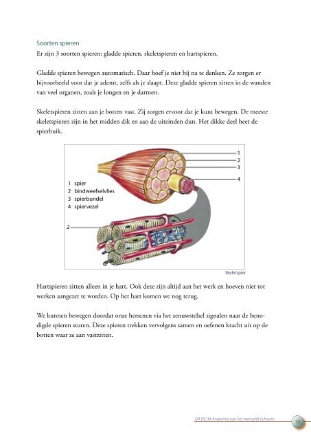 OA DC 44 Anatomie van het menselijk lichaam - Profi-leren