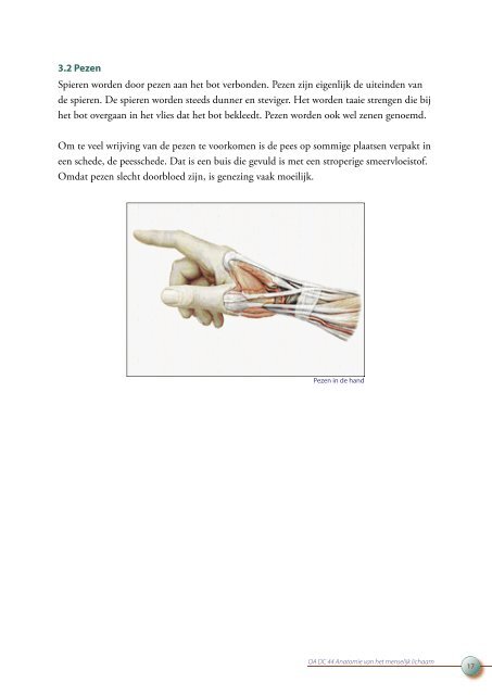 OA DC 44 Anatomie van het menselijk lichaam - Profi-leren