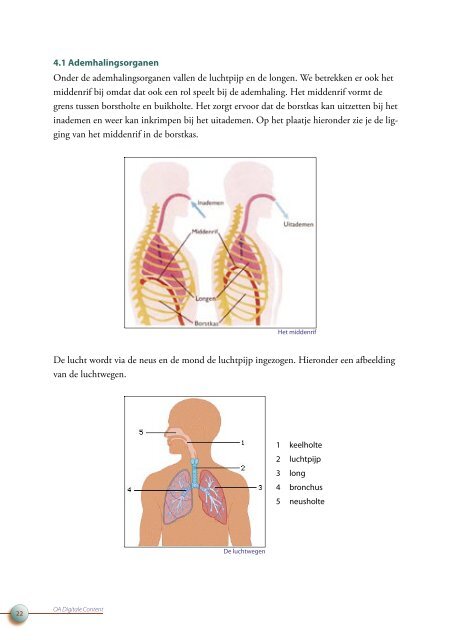 OA DC 44 Anatomie van het menselijk lichaam - Profi-leren