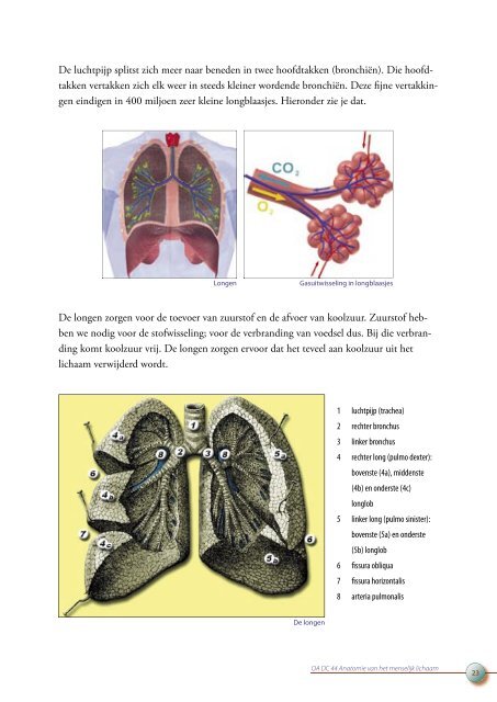 OA DC 44 Anatomie van het menselijk lichaam - Profi-leren