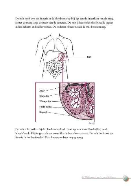 OA DC 44 Anatomie van het menselijk lichaam - Profi-leren