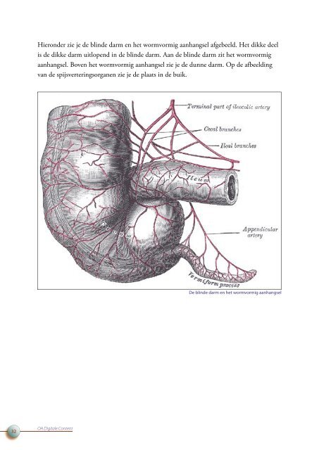 OA DC 44 Anatomie van het menselijk lichaam - Profi-leren