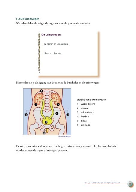 OA DC 44 Anatomie van het menselijk lichaam - Profi-leren