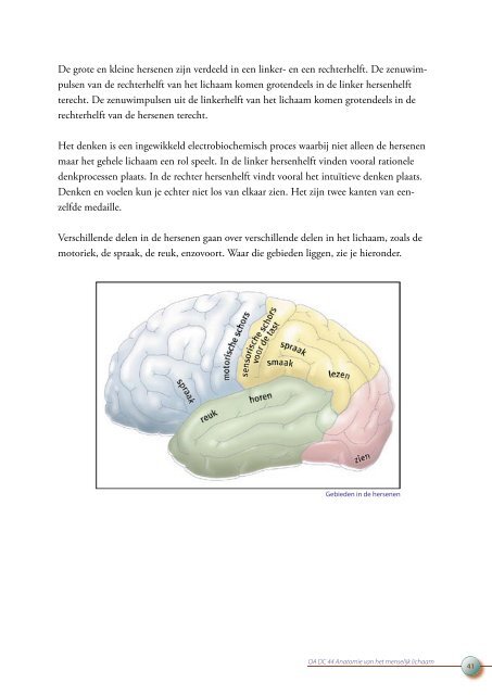 OA DC 44 Anatomie van het menselijk lichaam - Profi-leren