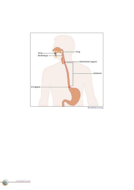 OA DC 44 Anatomie van het menselijk lichaam - Profi-leren