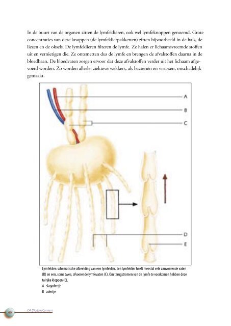 OA DC 44 Anatomie van het menselijk lichaam - Profi-leren