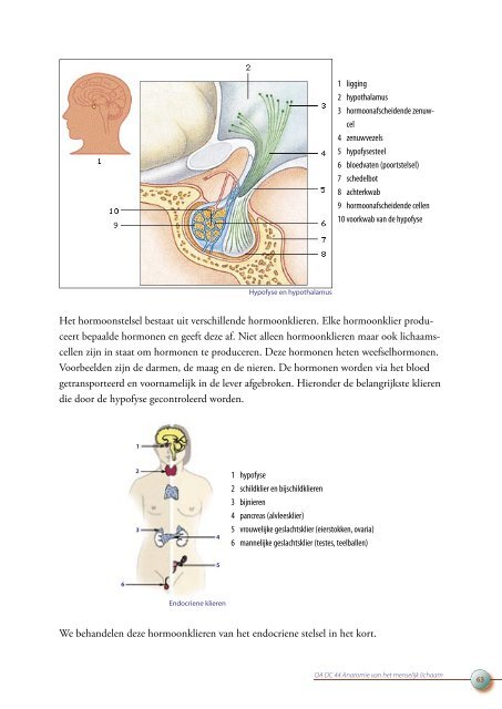 OA DC 44 Anatomie van het menselijk lichaam - Profi-leren