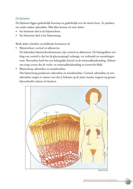 OA DC 44 Anatomie van het menselijk lichaam - Profi-leren